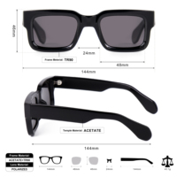 Lunettes de Soleil TR90 Haute Qualité Polarisées en Acétate Homme Femme Personnalisables Logo Cadres Carrés Rectangulaires Luxe Verres TAC