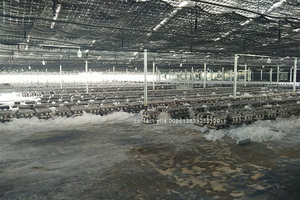 Équipement automatique pour remplissage et scellage des champignons, gouttelettes rotatif, cristal - Product Image 2