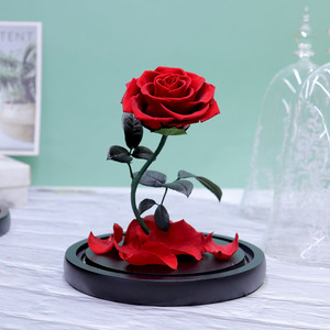 Rose éternelle préservée au toucher réel, longue durée (3-5 ans), sous cloche en verre, décoration pour la Saint-Valentin - Product Image 2