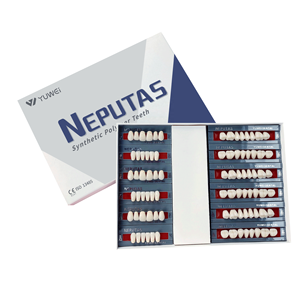 Dentier dur à <span class=keywords><strong>prix</strong></span> d'usine, fausses <span class=keywords><strong>dents</strong></span> <span class=keywords><strong>artificielles</strong></span> - Product Image 3