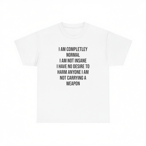 Camiseta Divertida con Memes, Camiseta Irónica y Sarcástica, Camiseta con Humor Picante, Ropa Promocional - Product Image 2