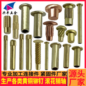 Rivets en laiton semi-creux 0,8-6,5 mm moletés nickelés, chromés, zingués, personnalisés pour usage industriel - Product Image 3