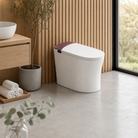 WC intelligent monobloc en céramique avec bidet intégré pour salle de bain, ensemble de sanitaires pour projets hôteliers