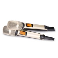 Système de microphone sans fil professionnel Performance sur scène UHF True Diversity avec micropones portables
