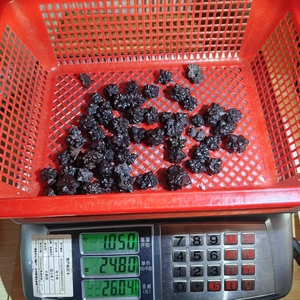 Gran oferta Reiki cura <span class=keywords><strong>la</strong></span> piedra <span class=keywords><strong>de</strong></span> <span class=keywords><strong>la</strong></span> profecía espiritual cristal crudo Aura Cluster espécimen Mineral <span class=keywords><strong>de</strong></span> forma libre para <span class=keywords><strong>la</strong></span> decoración del hogar - Product Image 6