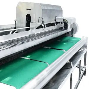 Máquina limpiadora automática de alfombras, XDT-5200, lavadora