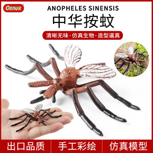 แบบจำลองยุงสำหรับเด็ก ยุงจำลองชนิด Anopheles sinensis, Aedes albopictus ของเล่นเสริมสร้างการเรียนรู้เกี่ยวกับแมลงศัตรูพืช วิทยาศาสตร์ - Product Image 1
