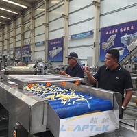 Volledig automatische productielijn voor halfgebakken aardappelchips, 100-2000 kg/uur