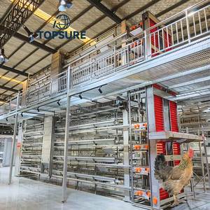 Juego <span class=keywords><strong>de</strong></span> Jaulas Galvanizadas para <span class=keywords><strong>Pollos</strong></span> <span class=keywords><strong>de</strong></span> Varias Plataformas Tipo H - Product Image 1