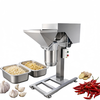 EU Food Grade 304 RVS Commerciële Groente- en Fruitpers Industriële Hoge Snelheid Puree Machine