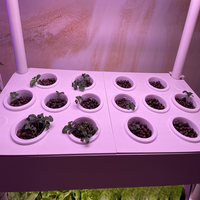 Système hydroponique intelligent Offre Spéciale Technologie d'arrosage intelligente Jardinage d'intérieur Jardinière de balcon Intelligent multicouche