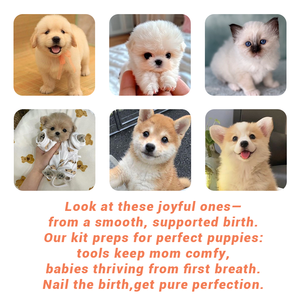 BLUENJOY Ensemble de naissance pour animaux de compagnie Pack de livraison pour animaux de compagnie Paquets de maternité <span class=keywords><strong>Kit</strong></span> de soins post-partum Packs de naissance stériles jetables pour animaux de compagnie - Product Image 3