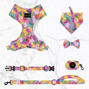 Collier de luxe pour <span class=keywords><strong>chien</strong></span> avec étiquette privée, ensemble de nœuds papillon, harnais en plastique réfléchissant pour chiot, laisse, accessoires pour animaux de compagnie de qualité supérieure pour votre fourrure - Product Image 5