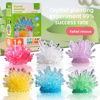 Kit d'expériences scientifiques DIY pour la culture de cristaux, pour les 0-3 mois, activité chimique parent-enfant, matériau plastique, cadeau de Noël