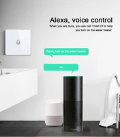 Interrupteur intelligent Wi-Fi TYSH standard UE pour chaudière, panneau en verre trempé, courant max. 10A, compatible Google Alexa pour la maison intelligente Alexa