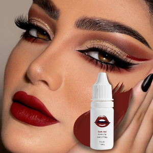 Tinte Labial Cosmético Personalizado de 10 ml en Envase de PE, Pigmento para Delineador Labial, Etiqueta, Caja, Rojo Mate, Rosa, Henna Permanente de 3 a 7 Días, Maquillaje Labial, <span class=keywords><strong>James</strong></span> <span class=keywords><strong>Charles</strong></span> - Product Image 4