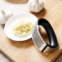 Groente Keuken Gadgets Keuken Accessoires Hakken Knoflook Gereedschap Handleiding Knoflook Vleesmolen Rvs Knoflookpers Rocker