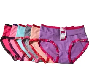 Factory Cheap Women Panties Floral Cute Low Waist Young Ladies Underwear Briefs Lingerie