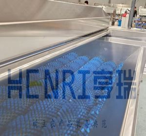 Прямые продажи с завода, машина для очистки и очистки корней Таро и лотоса - Product Image 5