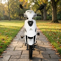 City 2022 Sanya Cyclomoteur électrique à deux roues avec pédales et side-car, capacité de charge de 200 kg, livraison gratuite aux États-Unis