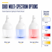 Ampoule LED D80 à spectre personnalisé pour volailles, étanche IP67 IP69K, éclairage pour poulaillers de poulets de chair, de poules pondeuses et de reproducteurs