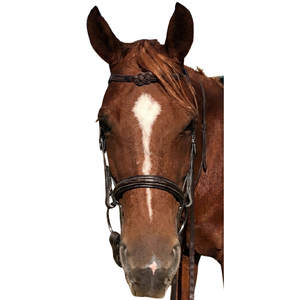Bridon d'équitation anglais en cuir sur mesure avec frontale à nœud celtique |   Fabricant de matériel équestre haut de gamme - Product Image 1