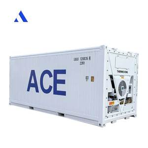 Mỹ thương hiệu Thermo Vua lạnh Cooler <span class=keywords><strong>20ft</strong></span> 6 Meter Chiều dài Tủ đông <span class=keywords><strong>20ft</strong></span> <span class=keywords><strong>container</strong></span> lạnh lưu trữ lạnh để bán - Product Image 4