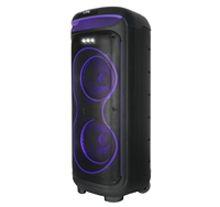Haut-parleur de karaoké portable puissant 1200W avec micro sans fil Haut-parleur de caisson de basses de 8 pouces Meilleur haut-parleur Boombox de fête DJ fabriqué en Chine