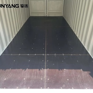 Contenedores de Carga Seca Vacíos de 6m (20 pies) de Acero Corten, Certificados CSC, para Transporte Marítimo ISO, en Venta - Product Image 6