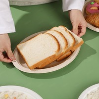 Assiette jetable biodégradable en bagasse pour fête, gâteau, confiserie, dessert, camping, cuisine