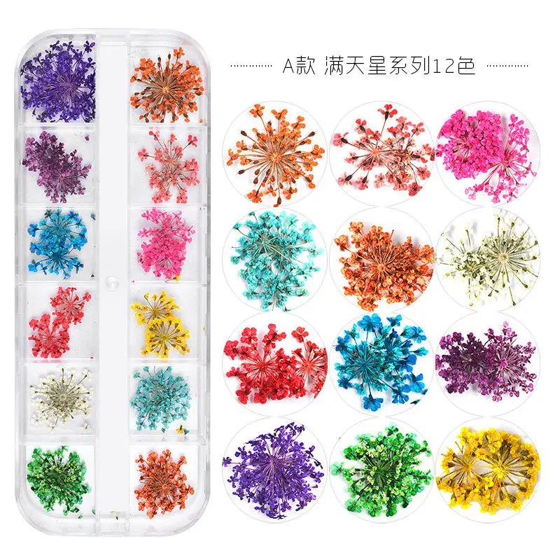 Stock all'ingrosso Mix fiori secchi decorazioni per unghie gioielli adesivi foglia floreale naturale 3D Nail Art Designs Polish Manicure