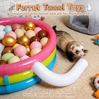 Jouets pour Furets avec Balles Incluses, Tunnel Léger Pliable en Plastique, Accessoires Simples avec Corde pour Petits Animaux