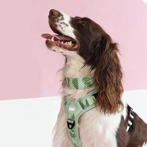 サンレイマスコタ カスタマイズ可能な犬用ハーネス 卸売製造 調整可能なパッド入り ノープル犬用ハーネス Y型ハーネス 大型犬用 - Product Image 4