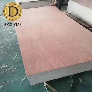 10Mm Inti Poplar Penuh Segar Satu Kali Tekan Panas BB/CC Bintqiao Plywood