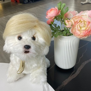 Perruque Courte Dorée Clair à Motif Dessin Animé Amusant pour Chat et <span class=keywords><strong>Chien</strong></span>, Nouveau Style, Vente en Gros Transfrontalière, Idéale pour Halloween - Product Image 1