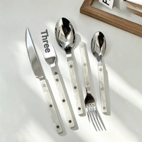 Ensemble de couverts de luxe en acier inoxydable avec manche en plastique, portables, polis miroir, cuillères, fourchettes, couteaux pour la maison