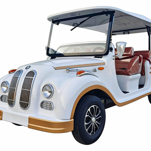 Auto Eléctrico Vintage de Alta Calidad, Homologado para Calle, con Motor de 5KW, Batería de Litio, Certificado CE, 5-6 Asientos, 30-50Km/h - Product Image 1