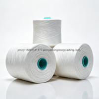 Fil à broder et à coudre en polyester 100% haute ténacité 40S/2, certifié OEKO-TEX, respectueux de l'environnement