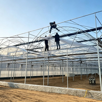 Grand système hydroponique commercial, serre en film plastique, projet personnalisé d'usine, serre en acier galvanisé pour ferme