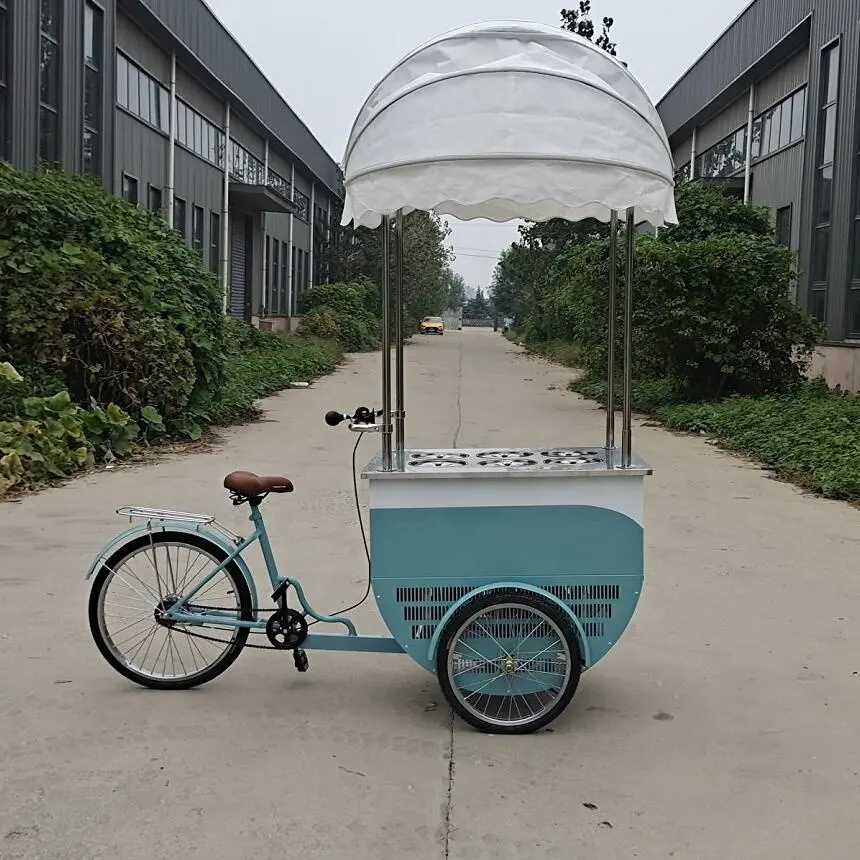 عربة الآيس كريم مع الفريزر الثلاجة الثلاجة الجليد كريم الدراجة