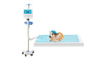 Dispositivo de Calentamiento de Aire para Mascotas WA05, Manta de Calentamiento para Pacientes para <span class=keywords><strong>la</strong></span> Prevención de <span class=keywords><strong>la</strong></span> Hipotermia, Instrumento Quirúrgico Veterinario - Product Image 4