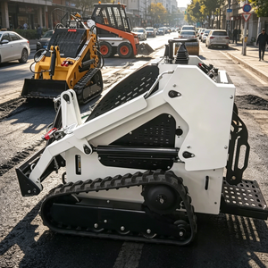 Minicargadora de Alta Calidad de Fábrica, Certificada por EPA y CE, con Motor y Bomba como Componentes Principales, Tipo Oruga - Product Image 2
