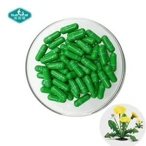 Liver Detox Cleanse Supplements Dandelion Root Extract Pill Dandelion Capsules with Dandelion Root flavonoids