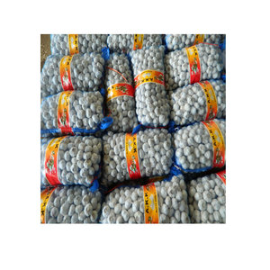 <span class=keywords><strong>Ail</strong></span> frais direct de la plus haute qualité Chine Bas <span class=keywords><strong>prix</strong></span> <span class=keywords><strong>Ail</strong></span> rouge commun en vrac frais - Product Image 6