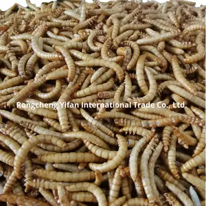 Insectos Liofilizados, Gusanos Secos, Bocadillos para Hámsteres, Alimento para Peces Tropicales Arowana, Pez Pajita, Luohan, Shandong - Product Image 4