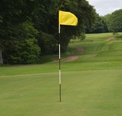 Customizable OEM Fiberglass <b>Rod</b> for Road Marker and Snow Pole Manufacturing - Product Image 4