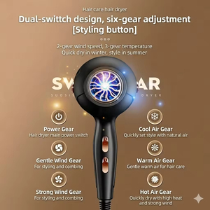 Secador de pelo doméstico con luz azul, iones negativos, cuidado del cabello, alta velocidad de viento, aire frío y caliente, secado rápido, para uso en salón y hogar - Product Image 3