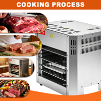 Grill électrique double à conception multi-niveaux, chauffe divers aliments sans mélange de saveurs, disposition verticale optimise le flux de travail, OEM ODM