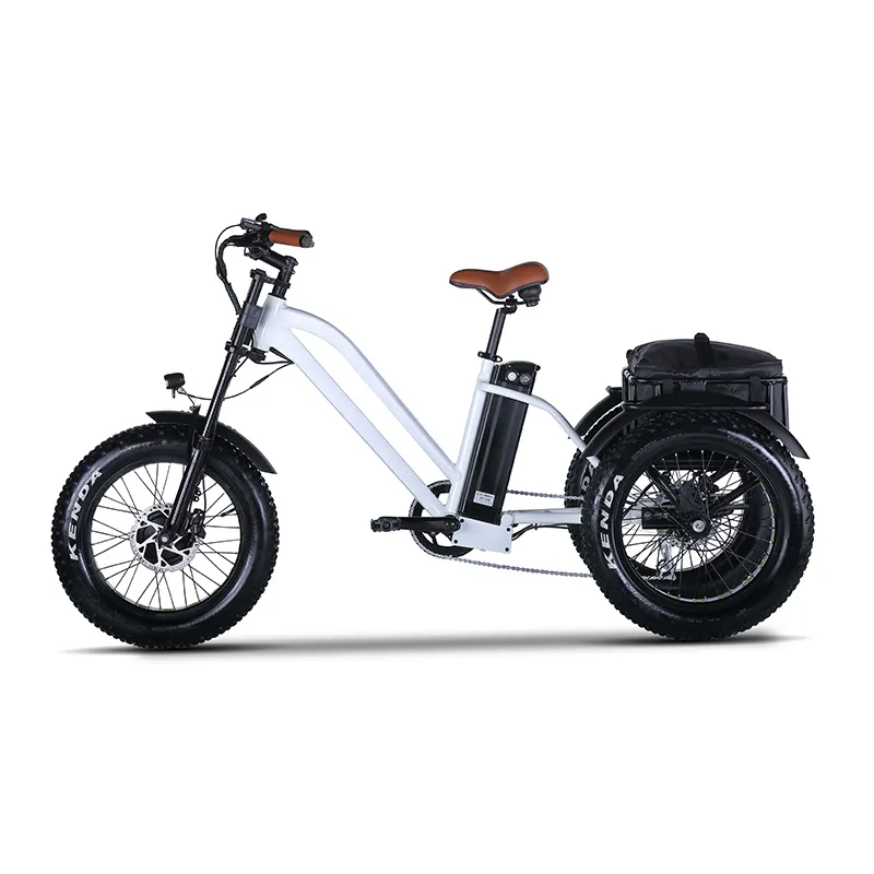 Client OEM pas cher 48V trois roues 350W 500W 750W 20 pouces bon tricycle adulte puissance électrique cargo tricycle vélo scooter
