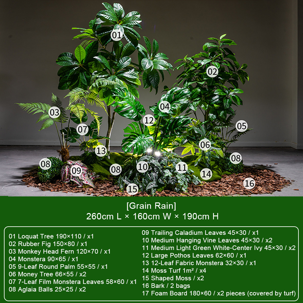 [Grain Rain] Ensemble avec Néflier d'Asie et Monstera